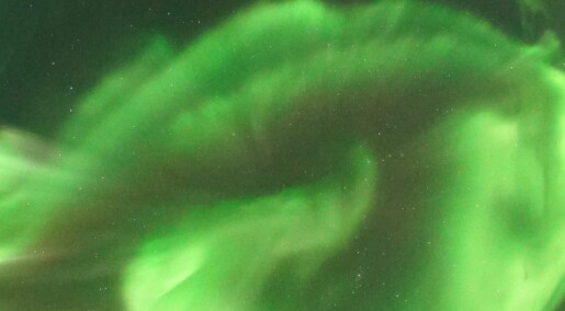 Svalbard's special northern lights