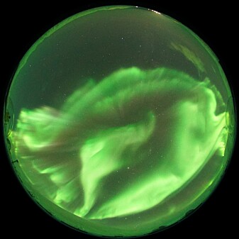 Nightside aurora with dominant green northern lights seen from the Kjell Henriksen Observatory near Longyearbyen. . Nightside aurora with dominant green northern lights seen from the Kjell Henriksen Observatory near Longyearbyen. .