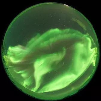 Nightside aurora with dominant green northern lights seen from the Kjell Henriksen Observatory near Longyearbyen. .