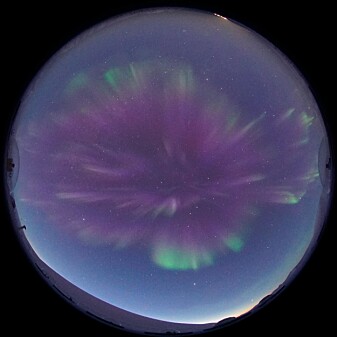 Dayside aurora with dominant red emissions seen from the Kjell Henriksen Observatory near Longyearbyen. Dayside aurora with dominant red emissions seen from the Kjell Henriksen Observatory near Longyearbyen.