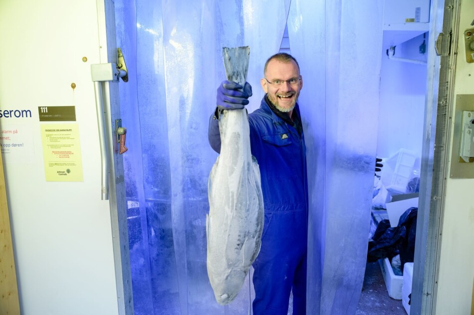 Storing fish under “normal” conditions is not cold enough. Lower storage temperatures could make a big improvement, says Svein Kristian Stormo.