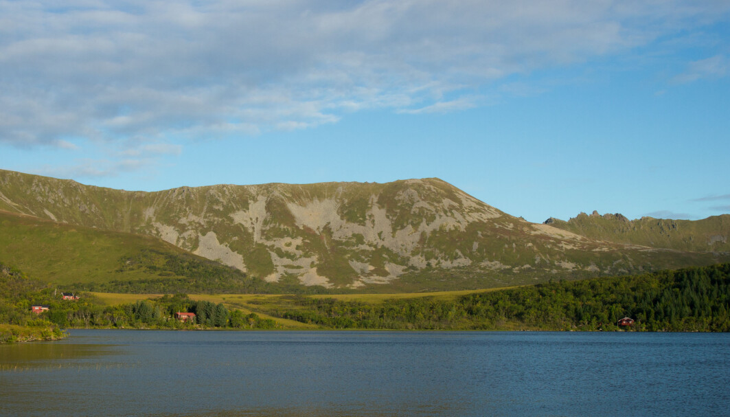 The study site on Andøya today. The study site on Andøya today.