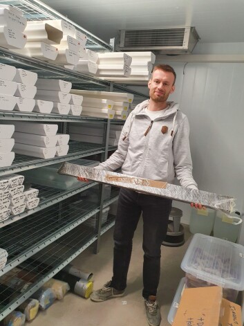 Youri Lammers holding a section from the sediment core in the storage at the Tromsø University Museum. Youri Lammers holding a section from the sediment core in the storage at the Tromsø University Museum.