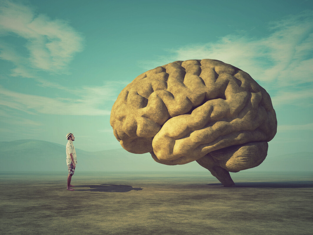 Although all evidence may point in the same direction, it’s tough for the brain to perceive a threat it has not experienced before. Although all evidence may point in the same direction, it’s tough for the brain to perceive a threat it has not experienced before.