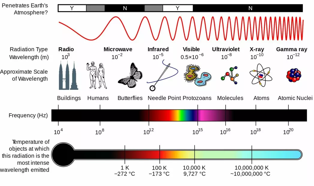 The graphic shows the different types of electromagnetic radiation. The objects in the image are approximately the size of the wavelength.