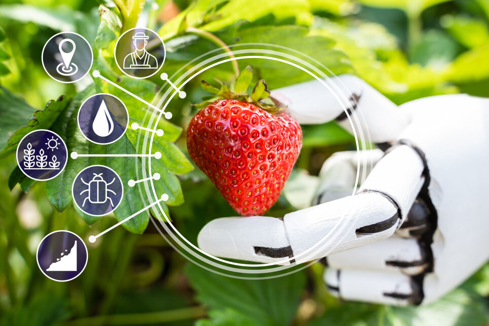 Ai,Farmer,Assistant,Picking,Fresh,Fruit,At,Plant