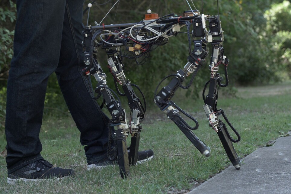 This robot adjusts the length of its legs when stepping from grass to concrete