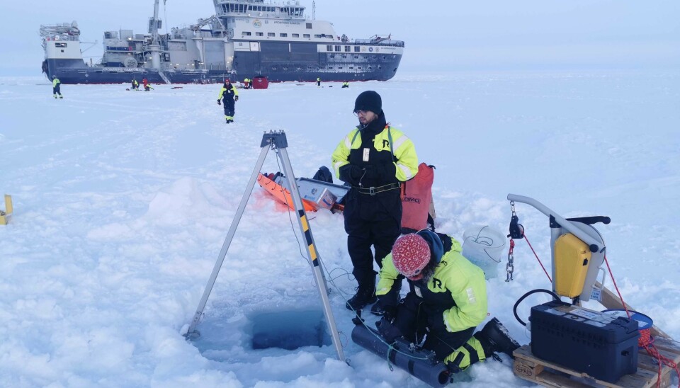 Even if Arctic seems dorment and with no life, the life hides under and inside the sea ice. To get water samples we need to drill holes in the ice and collect the water in a bottle.