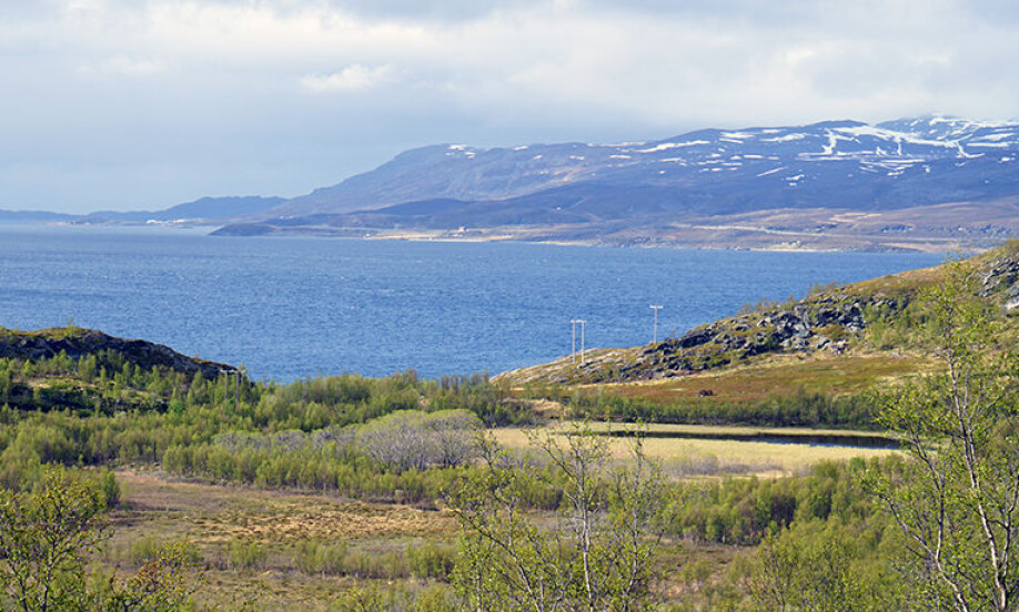 One of the lakes where the researchers found the fish bones is Klubbvatnet to the right in the picture, 33 meters above sea level at Neverfjord in Hammerfest municipality. Altafjorden and Kvaløya in the background.
