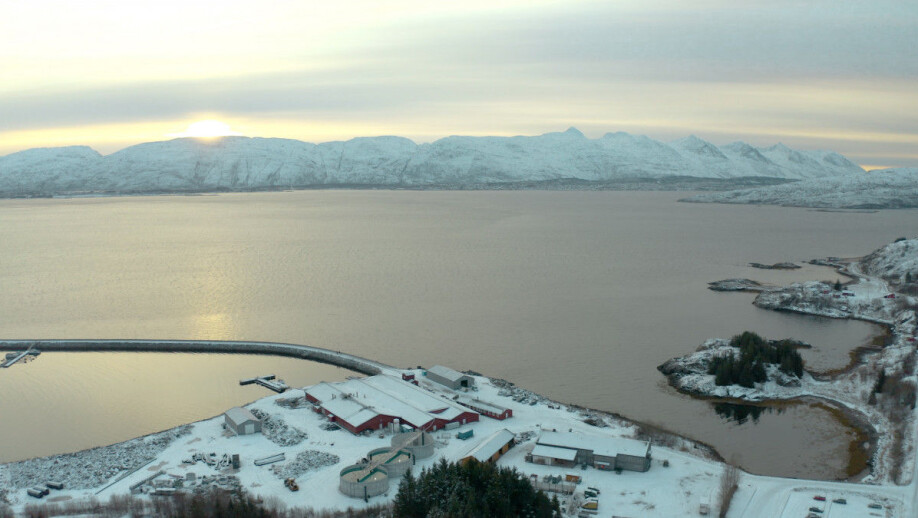 A new dawn for fish farming? This is LetSea’s land-based aquaculture research facility on the coast of Helgeland in Mid-Norway.