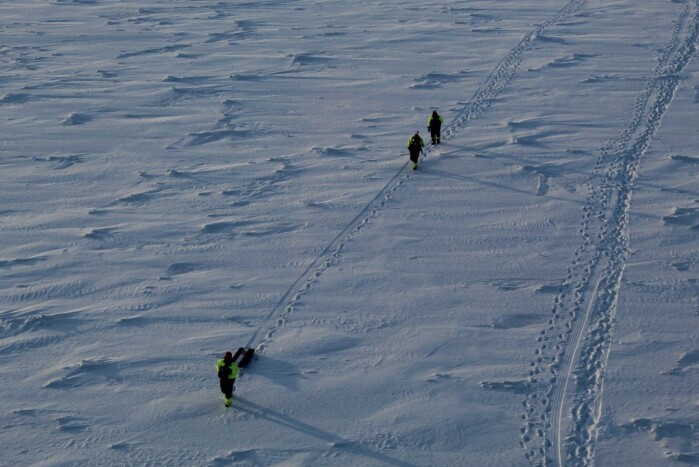 Sea ice and snow thickness transect. Sea ice and snow thickness transect.