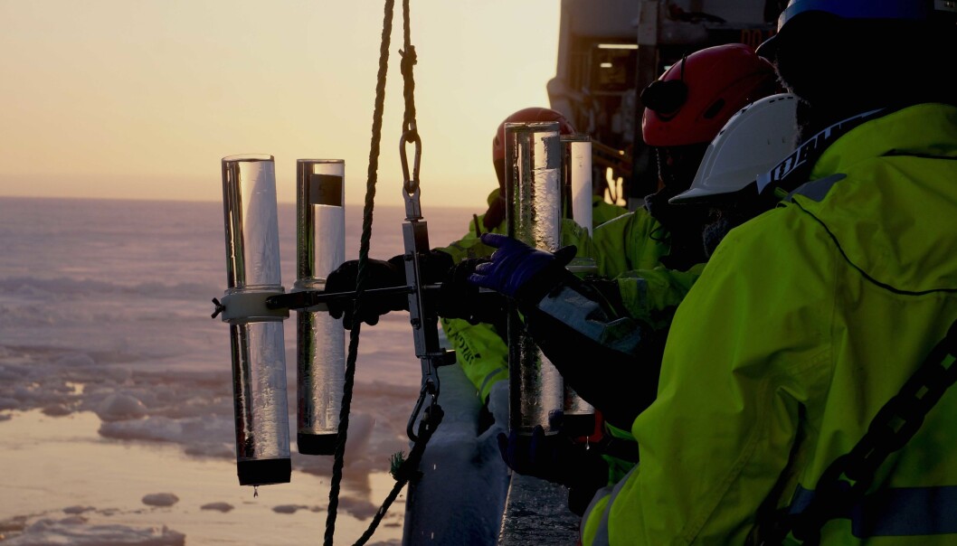 The “traps” are just jars: They are attached to the rope (“mooring”) at different depths, so they can collect the sinking material. The “traps” are just jars: They are attached to the rope (“mooring”) at different depths, so they can collect the sinking material.