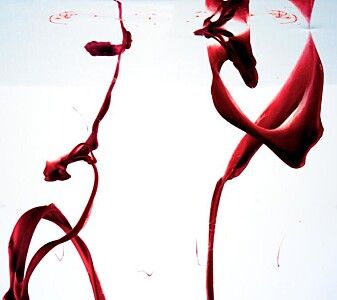 Artwork titled 'Ribbon Pair' Artwork titled 'Ribbon Pair'