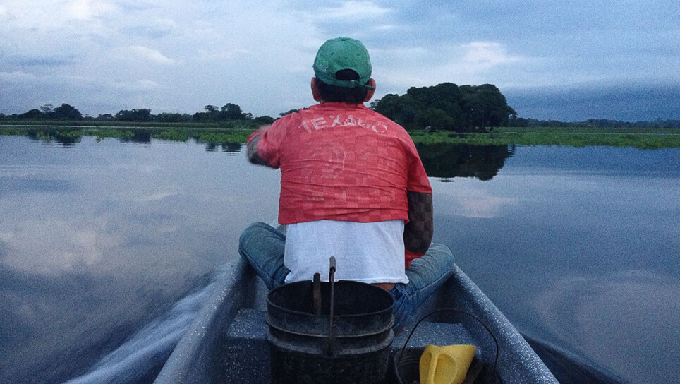Field work: Mónica Amador spent ten months in the swamp.