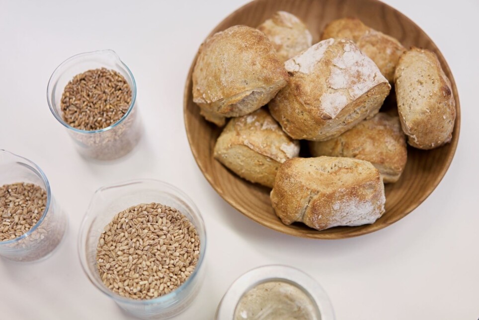 Gluten is a group of proteins found in grains. Among other things, these proteins are what enable yeast-leavened dough to rise.