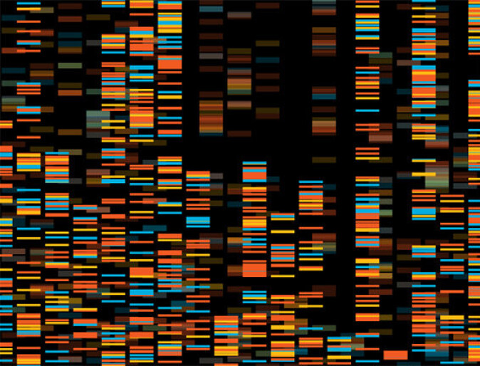Gene sequencing can make it easier for the police to carry out their work. And genealogy has taken on a new dimension. Gene sequencing can make it easier for the police to carry out their work. And genealogy has taken on a new dimension.