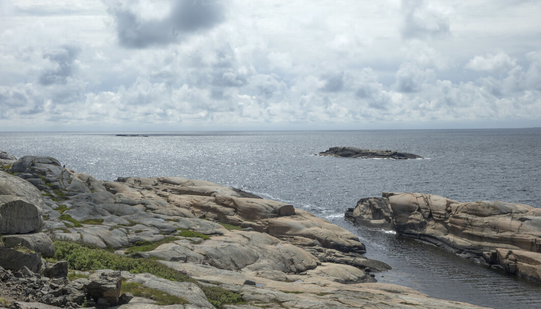 Færder national park was established in 2013 in order to protect a large area of nature with representative eco systems. Even so, fishing by trawling takes place here, writes national broadcaster NRK. Færder national park was established in 2013 in order to protect a large area of nature with representative eco systems. Even so, fishing by trawling takes place here, writes national broadcaster NRK.