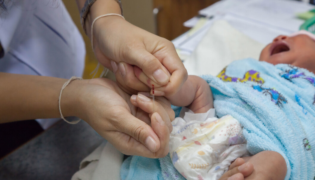 In Norway, all newborns are tested by taking a blood sample to detect various metabolic diseases. In Norway, all newborns are tested by taking a blood sample to detect various metabolic diseases.