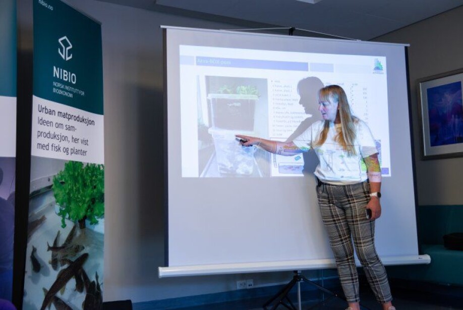 Project leader Siv Lene Gangenes Skar introduces every course day with a theoretic review of the days practical task. Today the task is to build an AquaponiBOX.