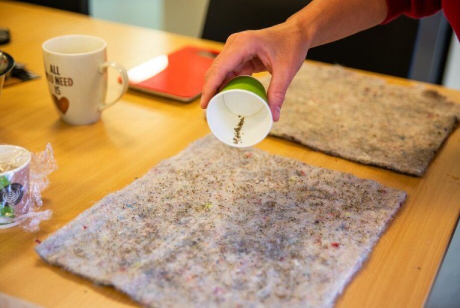The course participants sow microgreen that quickly develop into green herbs t hat can be used in cooking.