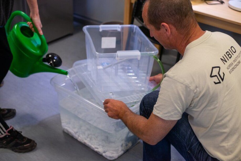 Engineer Atle Beisland from NIBIO, installs the aquaponics box together with enthusiastic participants.