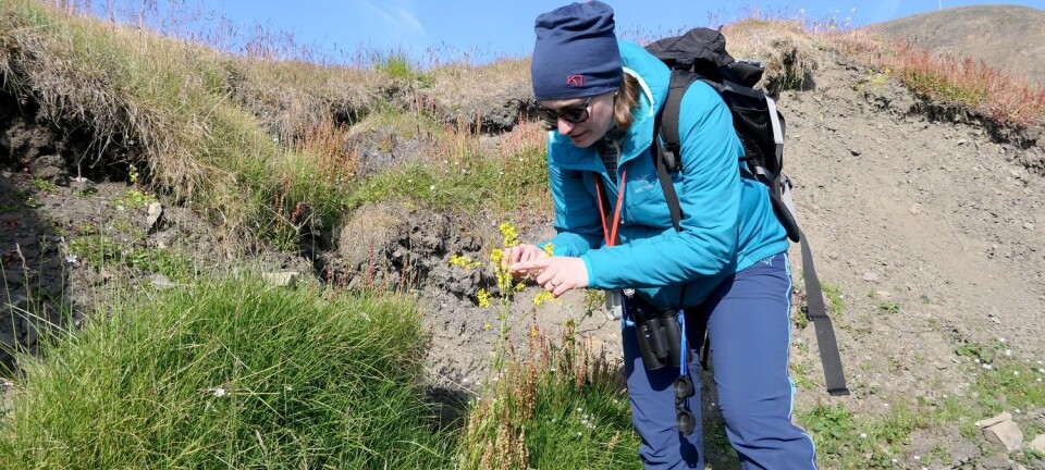 Aliens in the Arctic