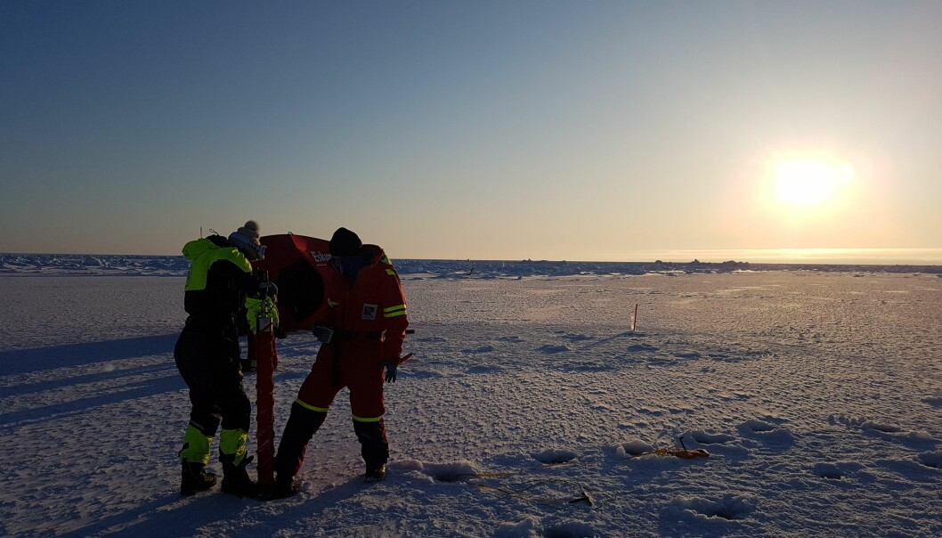 Although we scientists appreciate the sunshine, life in the ice and sea is not completely satisfied with the amount of sunlight yet.