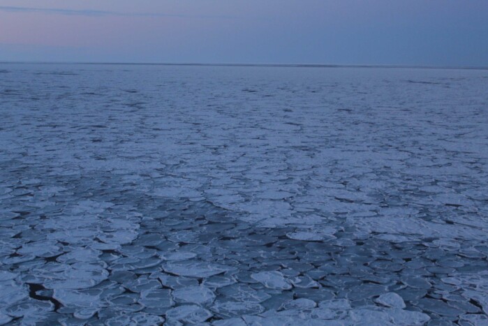 Pancake ice Pancake ice