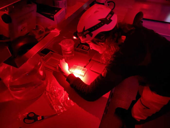 Nadjejda Espinel in the cold room checking her experiment Nadjejda Espinel in the cold room checking her experiment