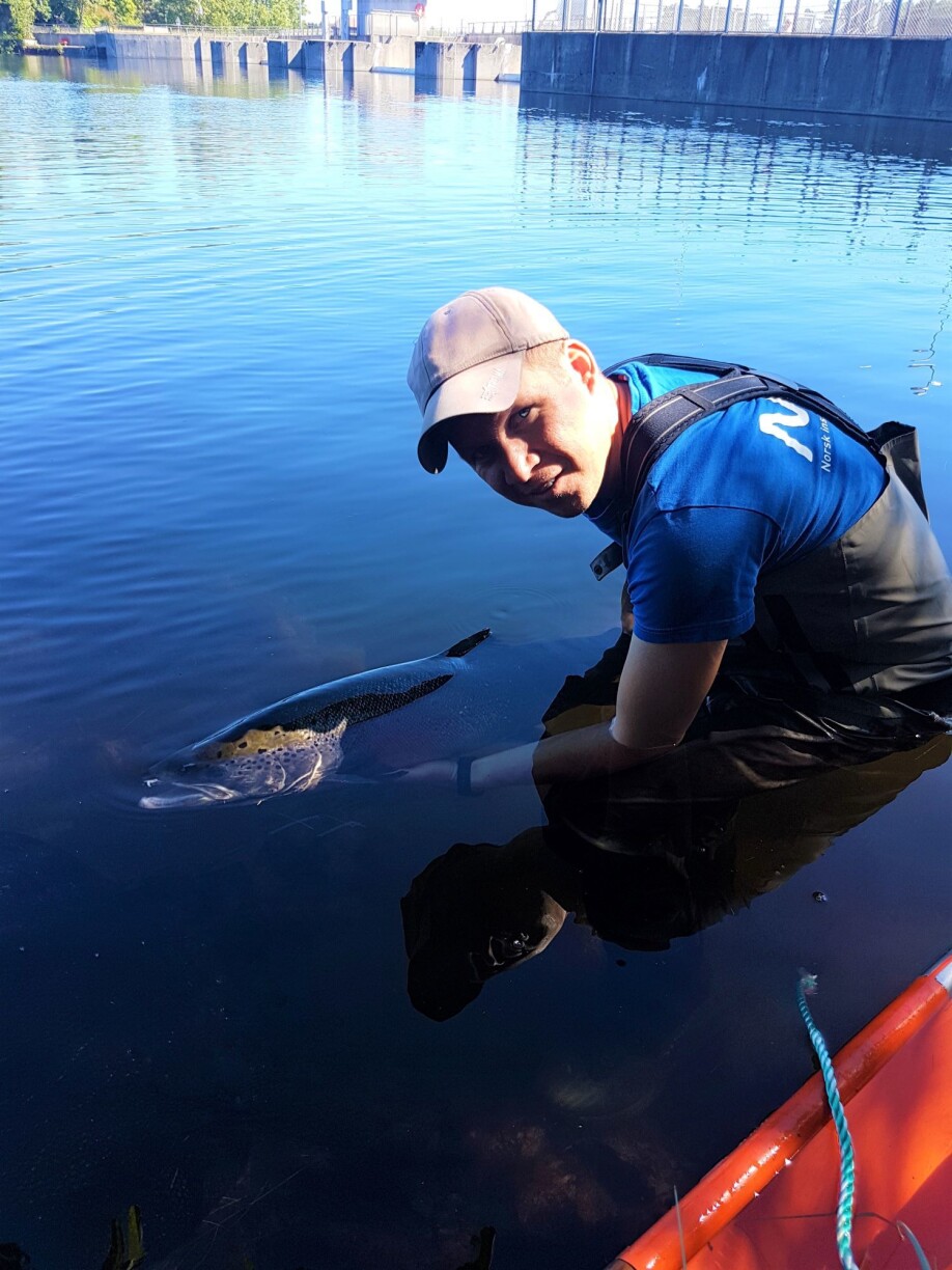 Tormod Haraldstad has completed his PhD degree at the Faculty of Engineering and Science at UiA. He works as a researcher at the Norwegian Institute for Water Research, which he has done throughout his doctorate.