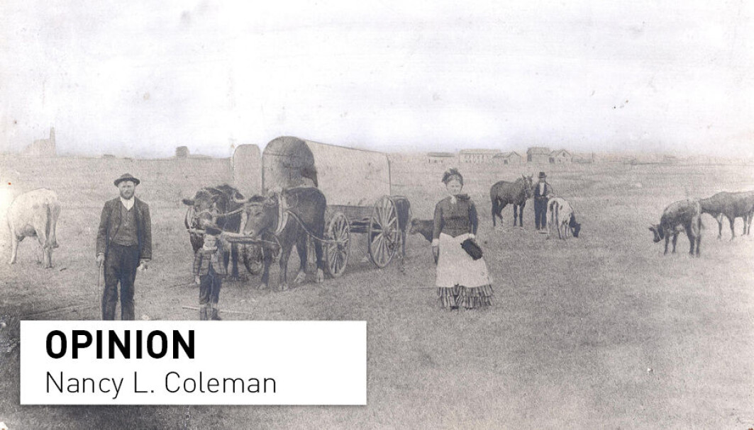 Most Norwegian immigrants to the USA during the 19th century opposed slavery and followed advise to settle in slave-free states, writes Nancy L. Coleman. Most Norwegian immigrants to the USA during the 19th century opposed slavery and followed advise to settle in slave-free states, writes Nancy L. Coleman.
