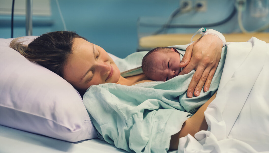 The Norwegian birth rate continues to fall, as is the case in all the Nordic countrires. The Norwegian birth rate continues to fall, as is the case in all the Nordic countrires.