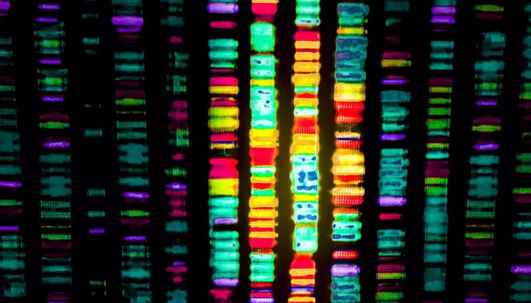 In February 2001, the world was rocked by the news that a large team of scientists from many countries had published the first map of the human genome, our genetic material.