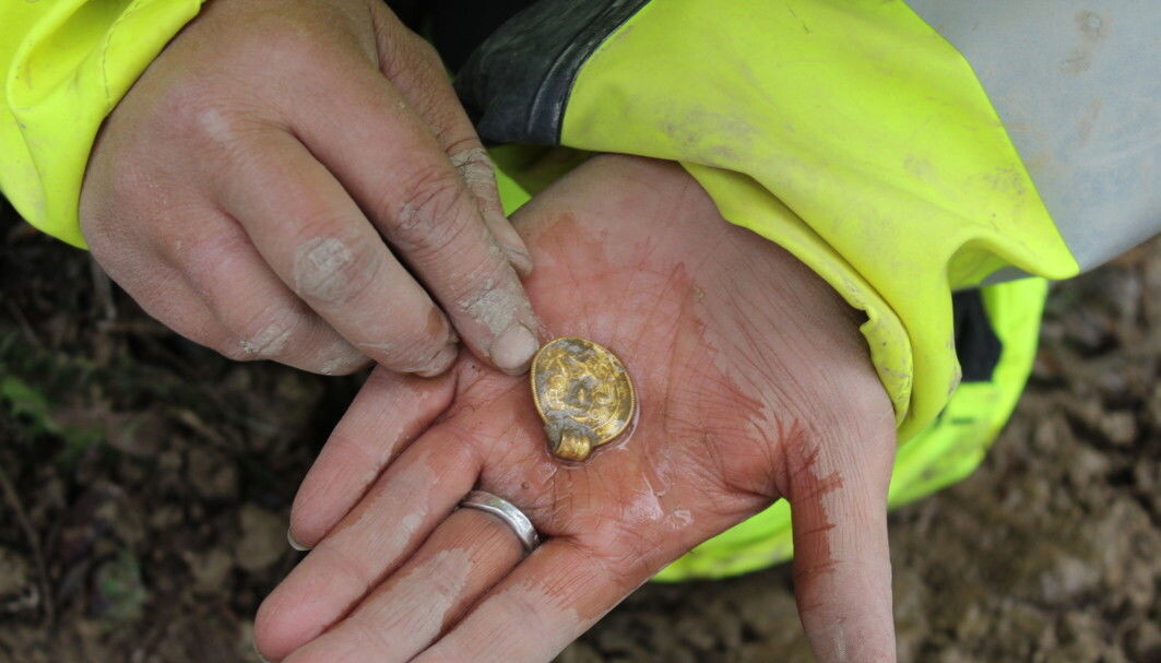 Gold doesn’t deteriorate, even if it’s spent a thousand years in clay soil. But the gold bracteates can still be quite fragile. The purity of the gold is high, which makes it soft and easy to bend. Gold doesn’t deteriorate, even if it’s spent a thousand years in clay soil. But the gold bracteates can still be quite fragile. The purity of the gold is high, which makes it soft and easy to bend.