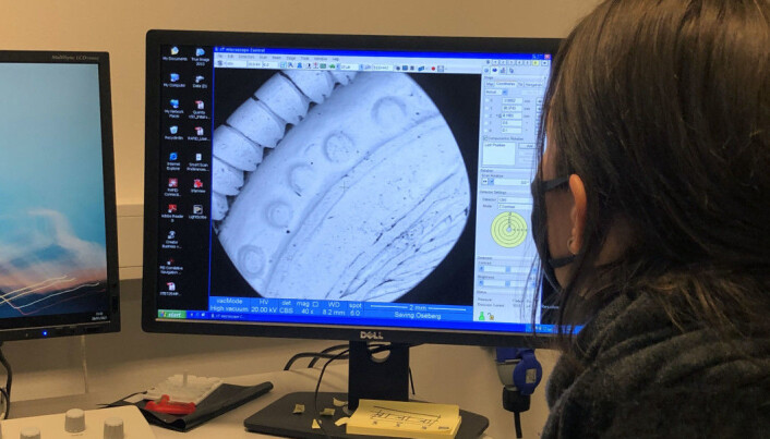 The screen shows an enlarged image of a 5 mm broad area of one of the gold bracteates. Using a scanning electron microscope such as this allows the archaeologists to study the pendants up close in great detail. The screen shows an enlarged image of a 5 mm broad area of one of the gold bracteates. Using a scanning electron microscope such as this allows the archaeologists to study the pendants up close in great detail.