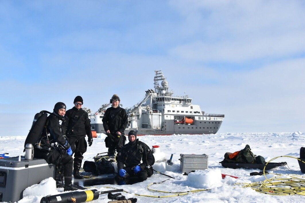 : The dive team, Amalia, Mikko, Haakon and Peter. : The dive team, Amalia, Mikko, Haakon and Peter.
