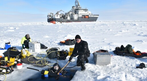 Nansen Legacy Q2 Scientific divers sample ice algae and zooplankton below sea ice