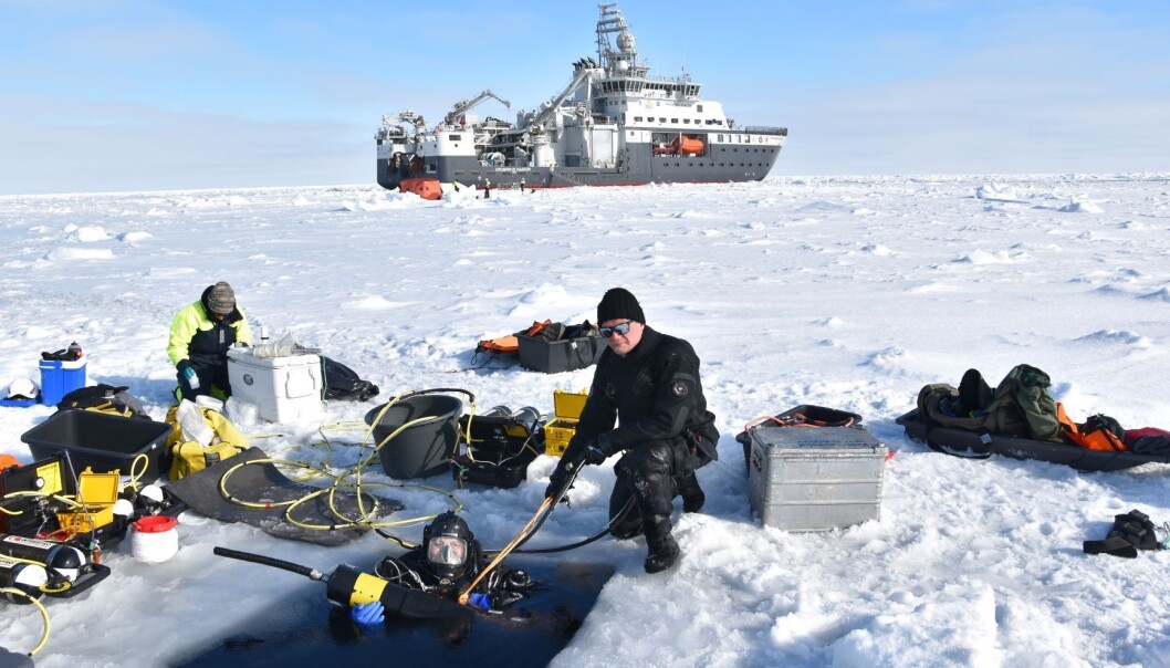 Amalia in the dive hole with the suction pump, Mikko tending, and Libby Jones helping with preservation of samples. Amalia in the dive hole with the suction pump, Mikko tending, and Libby Jones helping with preservation of samples.