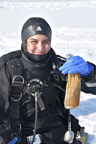 Amalia with a full plankton net with ice algae from the suction pump. Amalia with a full plankton net with ice algae from the suction pump.