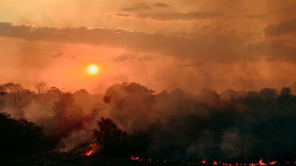 Archaeologists believe the humans who arrived in the Karonga district started burning down the forest to open the landscape for hunting.