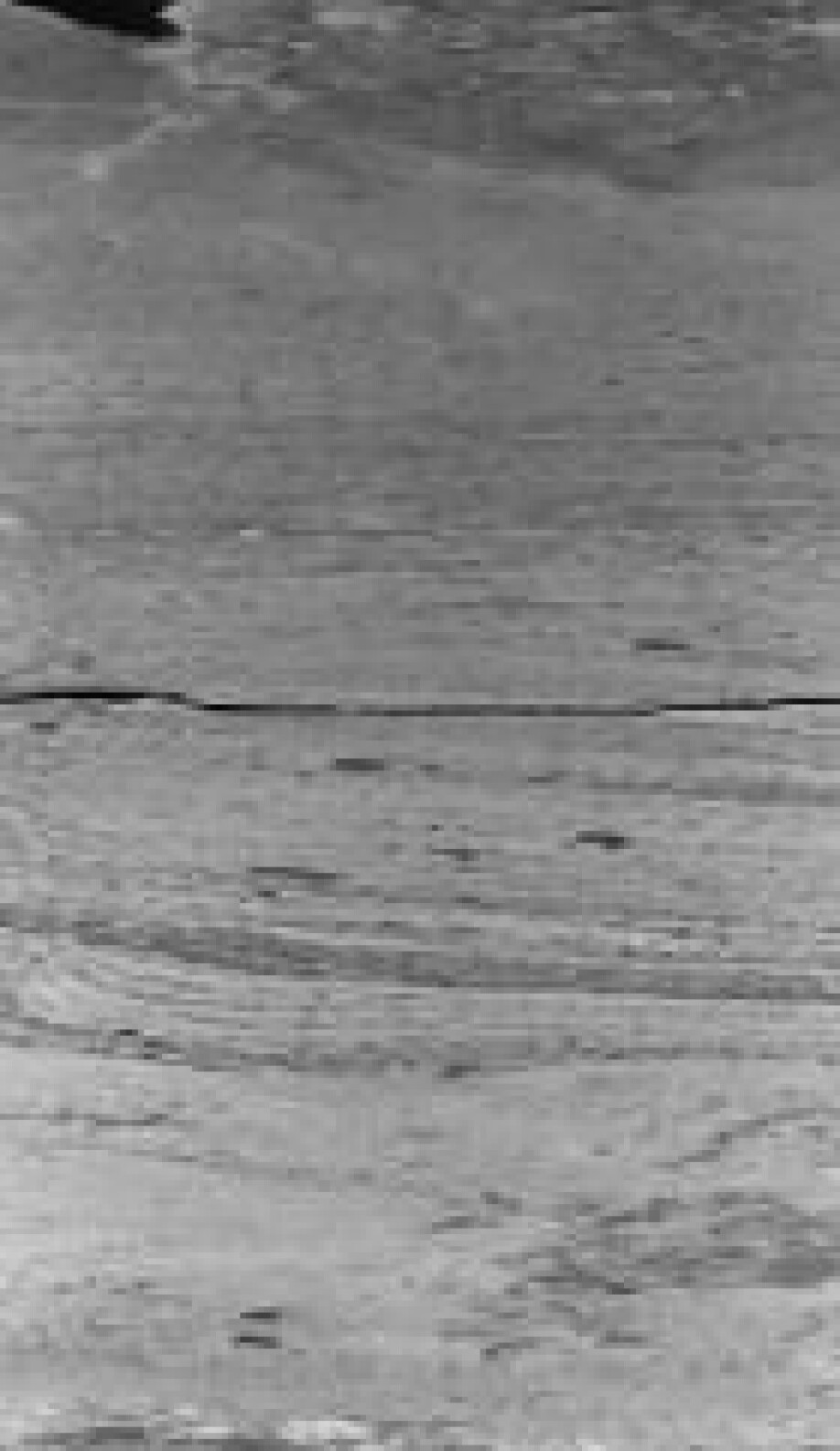 A section of a sediment core from Ástjörn. The layers tell of events in the past.