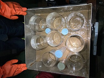 Sampling and sub-sampling the seafloor. Sampling and sub-sampling the seafloor.