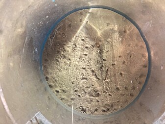 Burrows of benthic animals visible in one of our subsampling cores. Burrows of benthic animals visible in one of our subsampling cores.