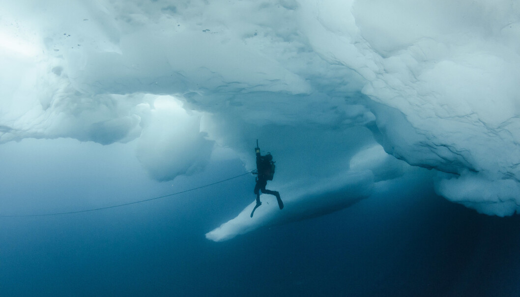 A diver with a suction pump under an ice ridge somewhere in the deep blue Arctic Ocean A diver with a suction pump under an ice ridge somewhere in the deep blue Arctic Ocean