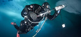 The deep blue Arctic Ocean: A scientific diver's tales of life under water