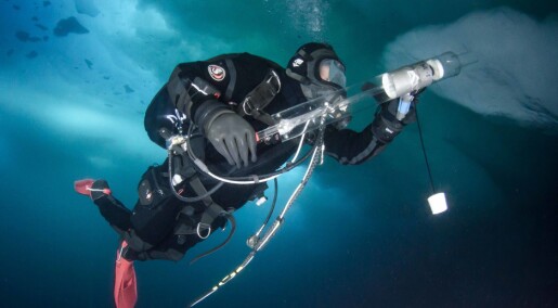 The deep blue Arctic Ocean: A scientific diver's tales of life under water
