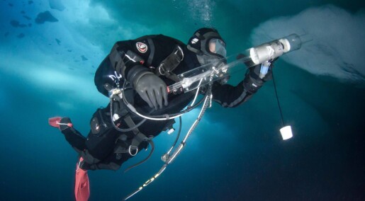 The deep blue Arctic Ocean: A scientific diver's tales of life under water The deep blue Arctic Ocean: A scientific diver's tales of life under water