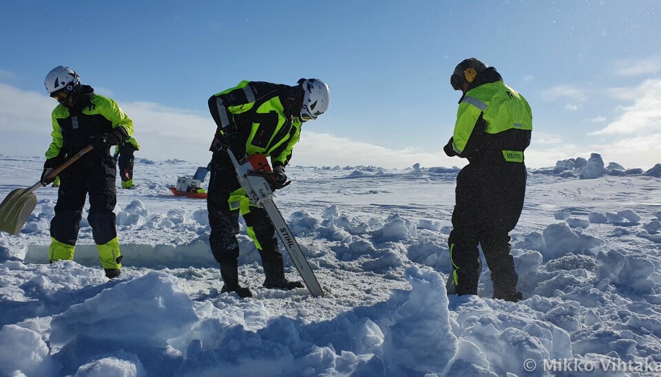 Amalia, Peter and Haakon making a dive hole in 1.5-meter-thick sea ice in crisp winter weather. On Svalbard, the temperatures are measured by the required clothing. This was a “balaclava day”