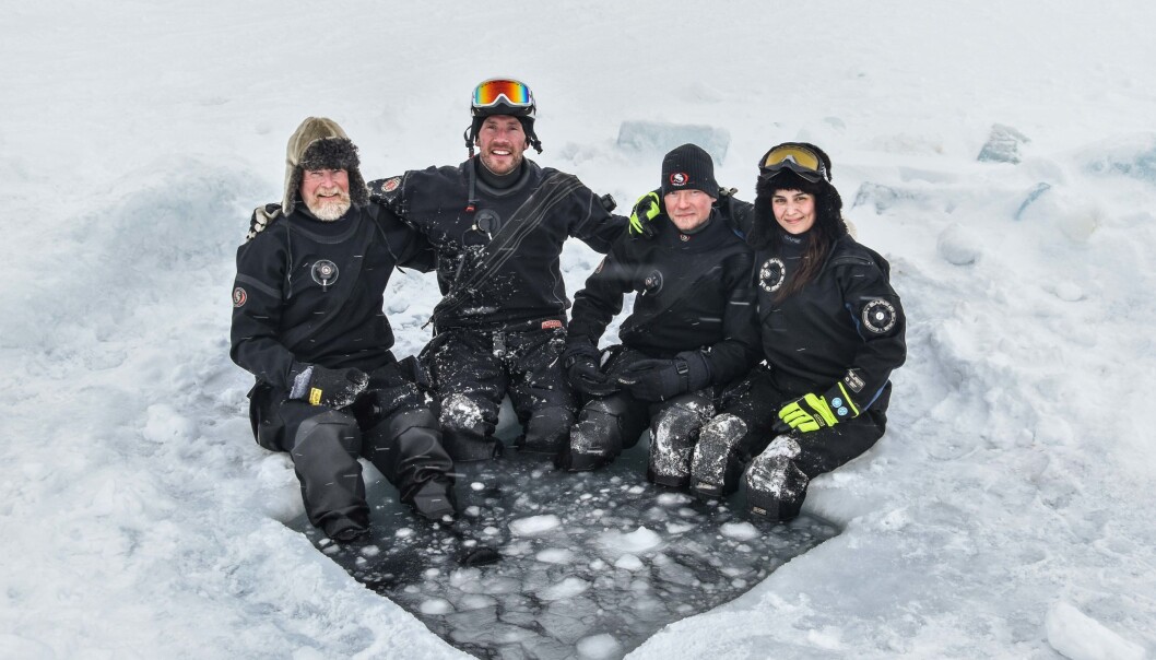 The dive team on the Nansen Legacy Q2/21 cruise came from the Norwegian Polar Institute and consisted of Haakon Hop, Peter Leopold, Mikko Vihtakari, and Amalia Keck seen from the left to right The dive team on the Nansen Legacy Q2/21 cruise came from the Norwegian Polar Institute and consisted of Haakon Hop, Peter Leopold, Mikko Vihtakari, and Amalia Keck seen from the left to right