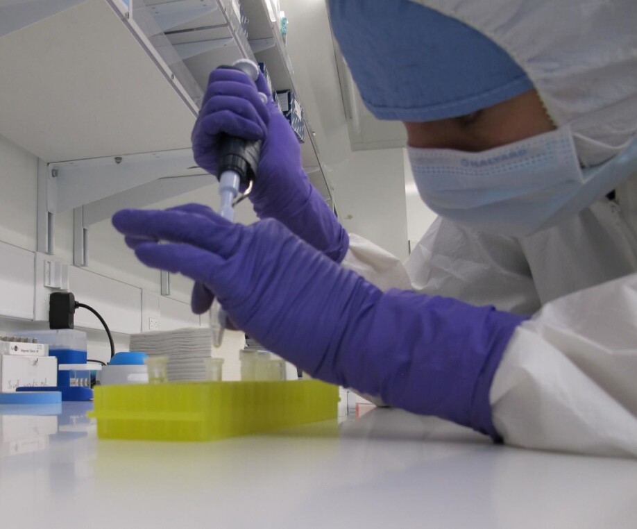 Alisa Vershinina works in the Paleogenomics Lab at UC Santa Cruz where ancient DNA is extracted from fossils for sequencing and analysis.
